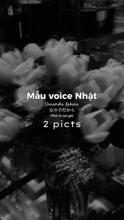 Mẫu voice Nhật