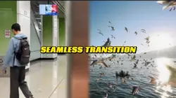 Seamless Transition 