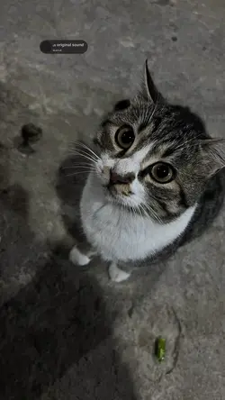 ku minta kepadamu..
