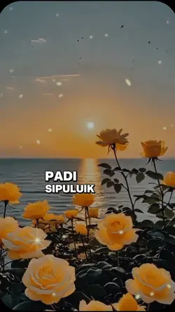 padi sipuluik
