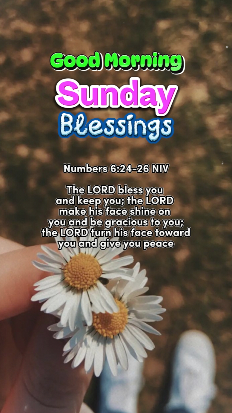 Sunday Blessings