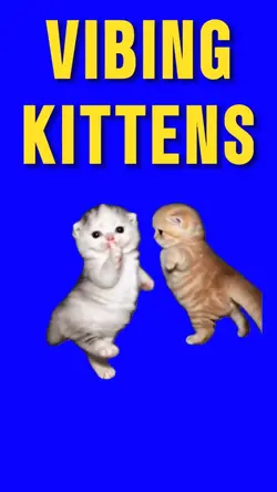 VIBING KITTENS