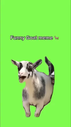 Funny Goat meme 🐐