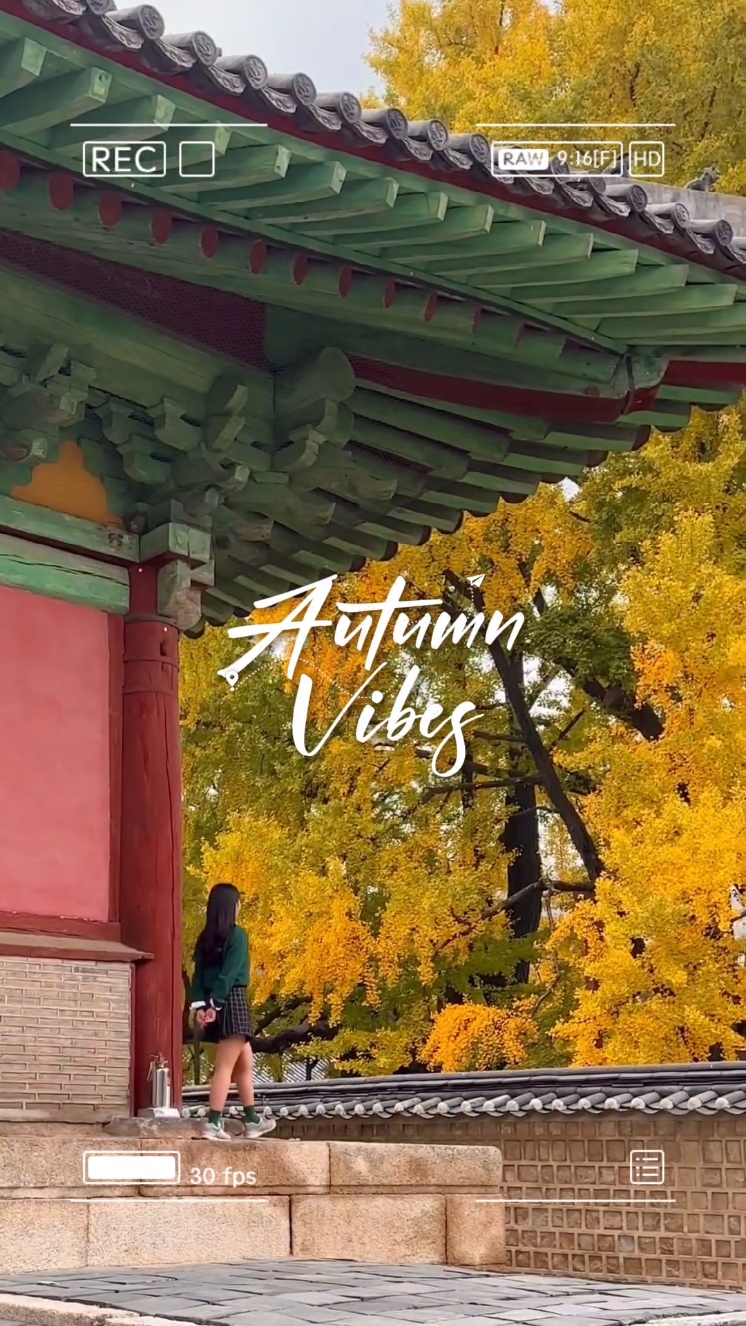 autumn vibes. 93