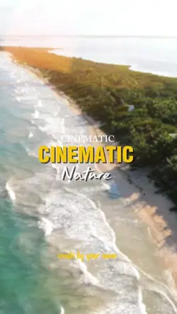 cinematic