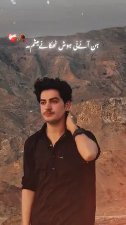 Mesam sad poetry 
