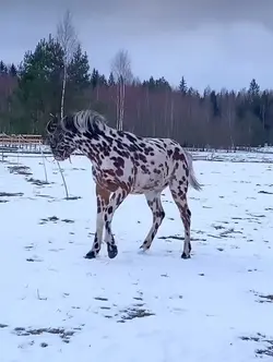 Falling in love