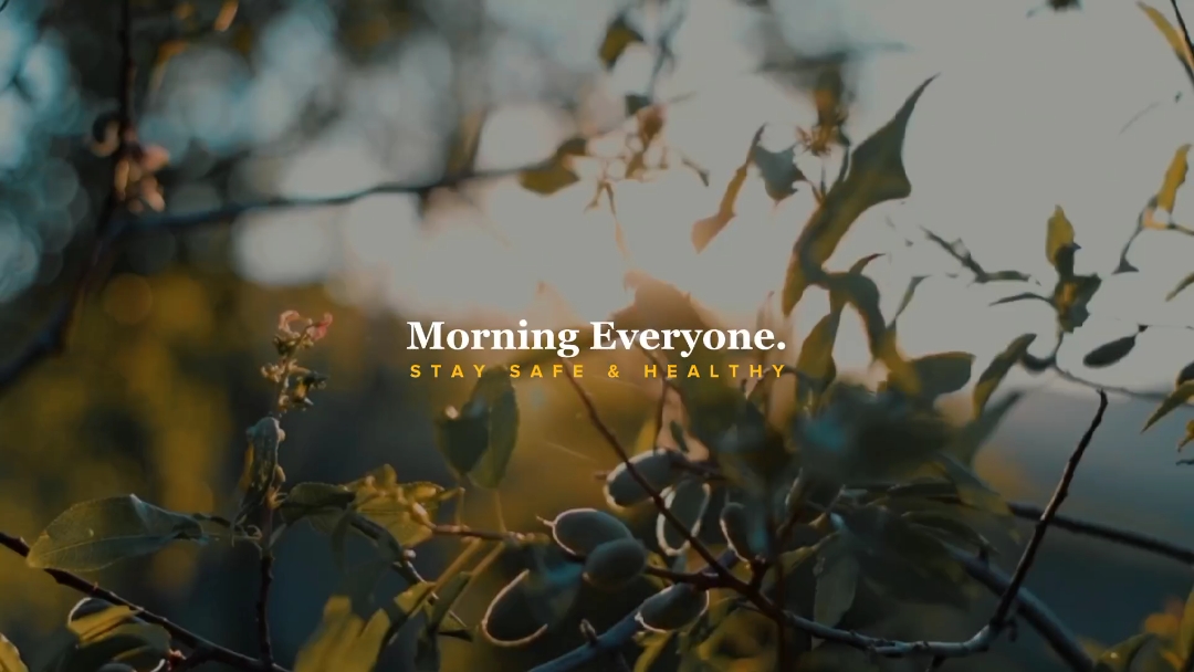 Cinematic Nature
