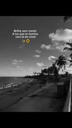 brilhe sem medo 