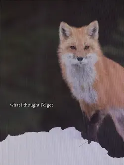spirit animal :3