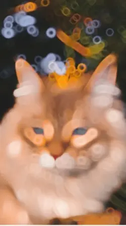 Cat Slowmo trending