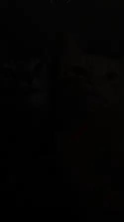 Trending  Video 