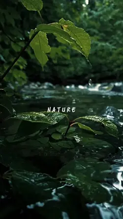 NATURE