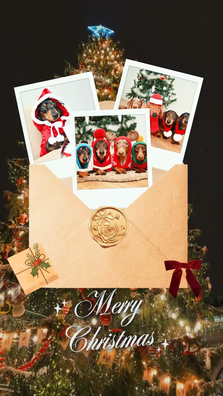 Feliz Navidad