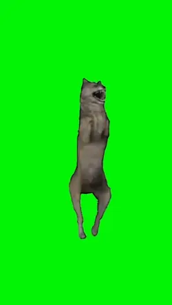 Wolf Dance