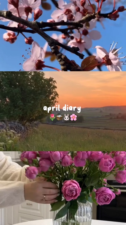 Diario de abril 