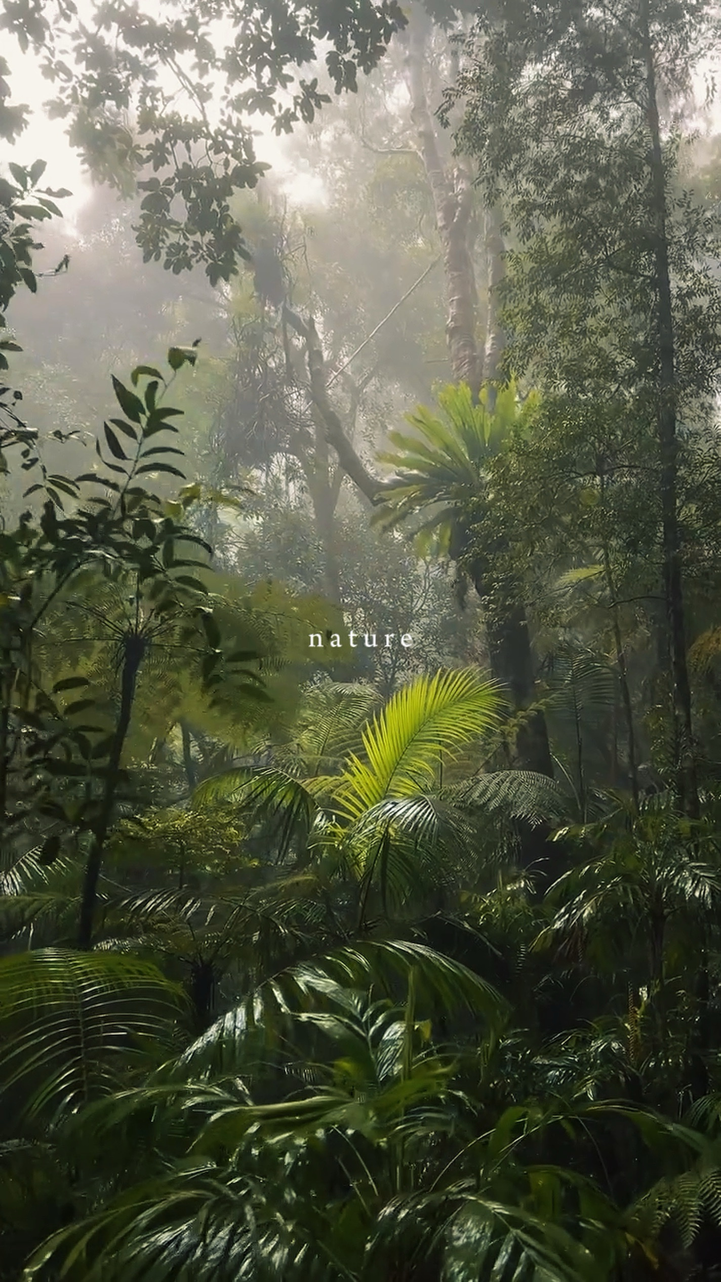 Nature
