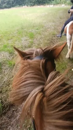 FETZEN