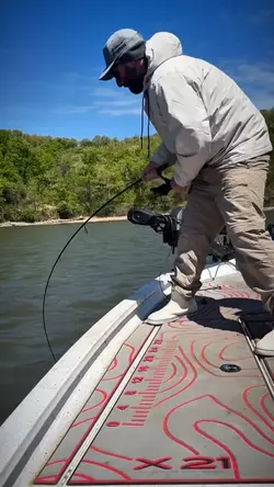 pesca