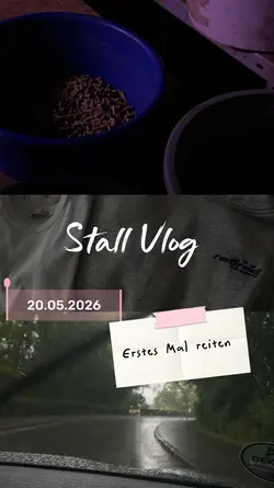 Stall vlog