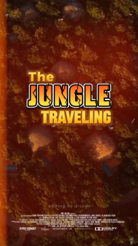 Voyage dans la jungle