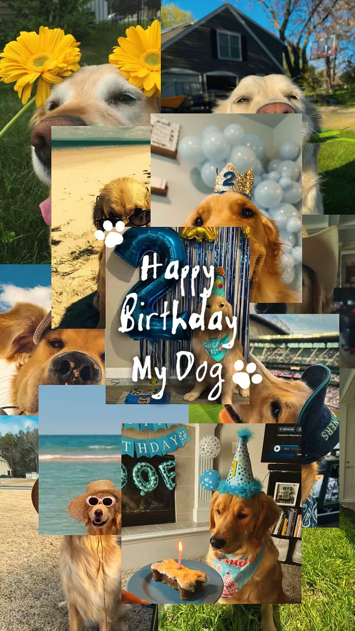 Alles Gute zum Geburtstag Hund