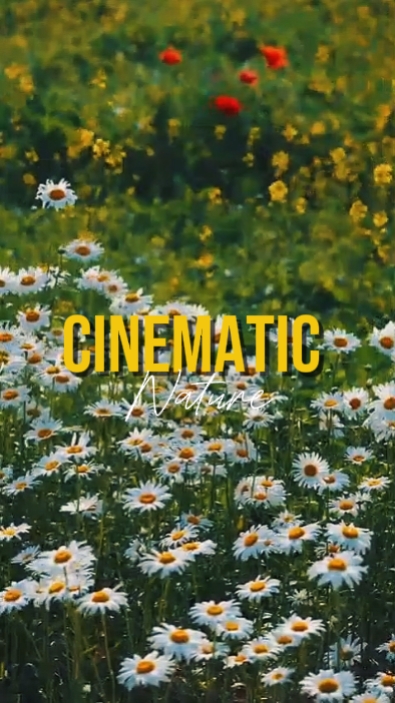 Cinematic 