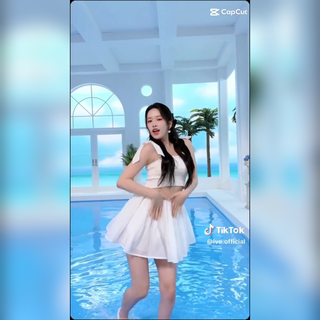 李子R