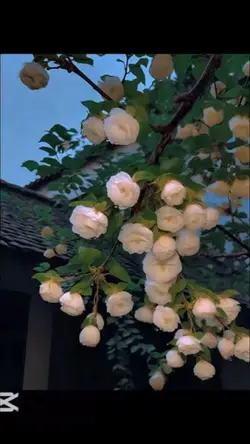 3Dwallpaper