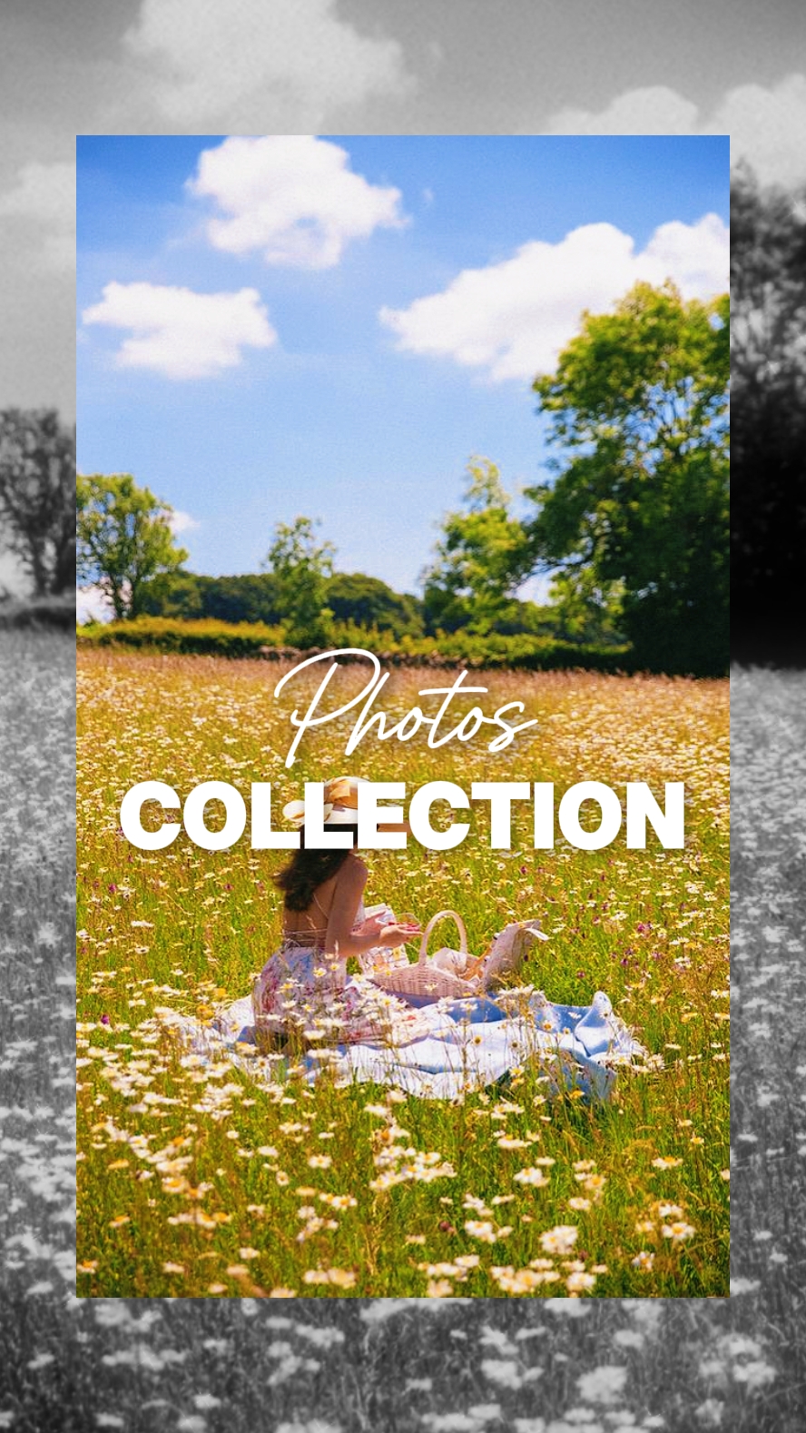 Colección De Fotos