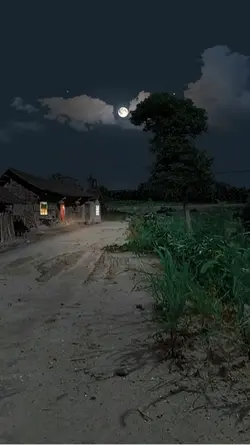 Live wallpaper