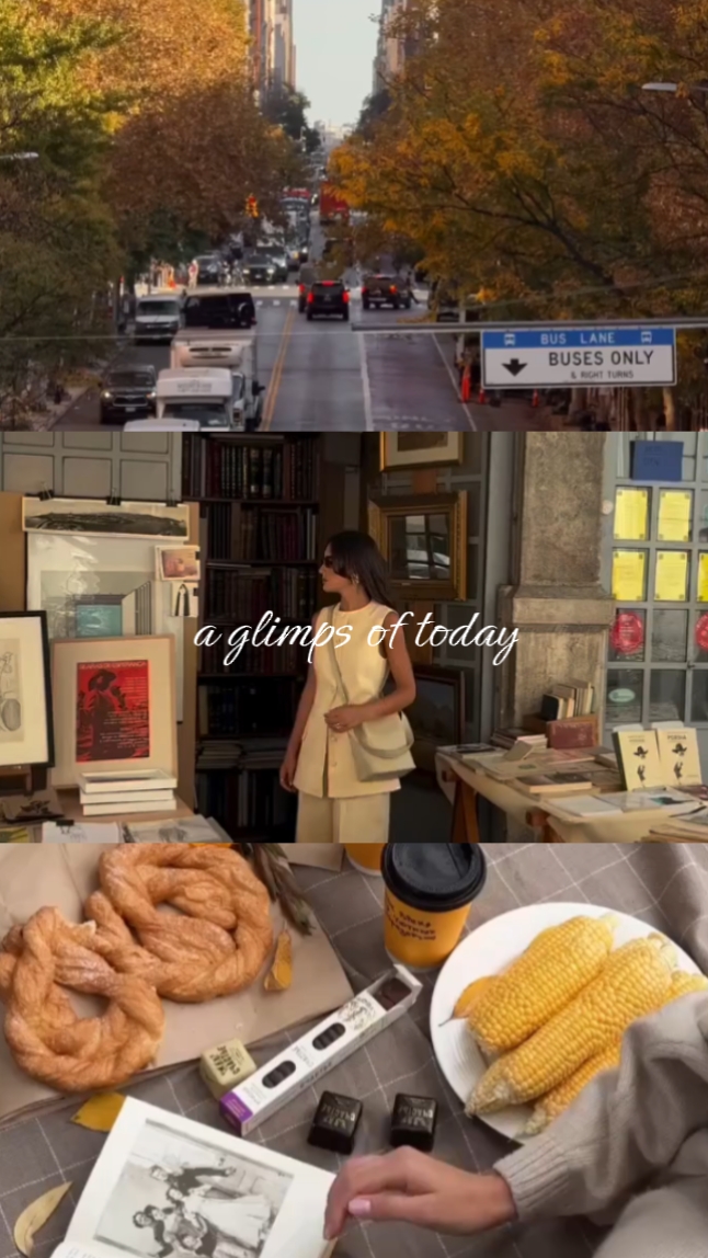 3 grid video