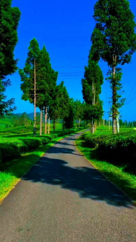 filtre keren 