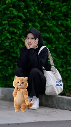 Tren kucing