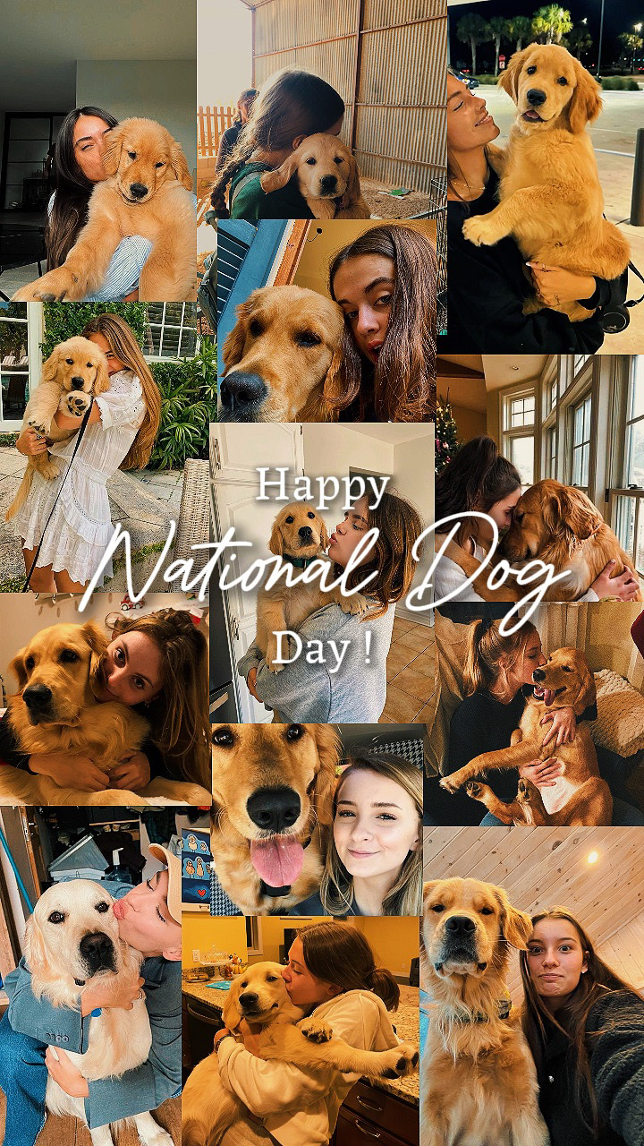 Feliz Cão Nacional
