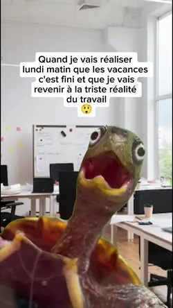 Tortue en peine