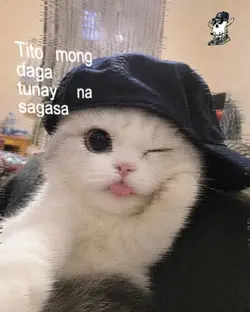 New Trending