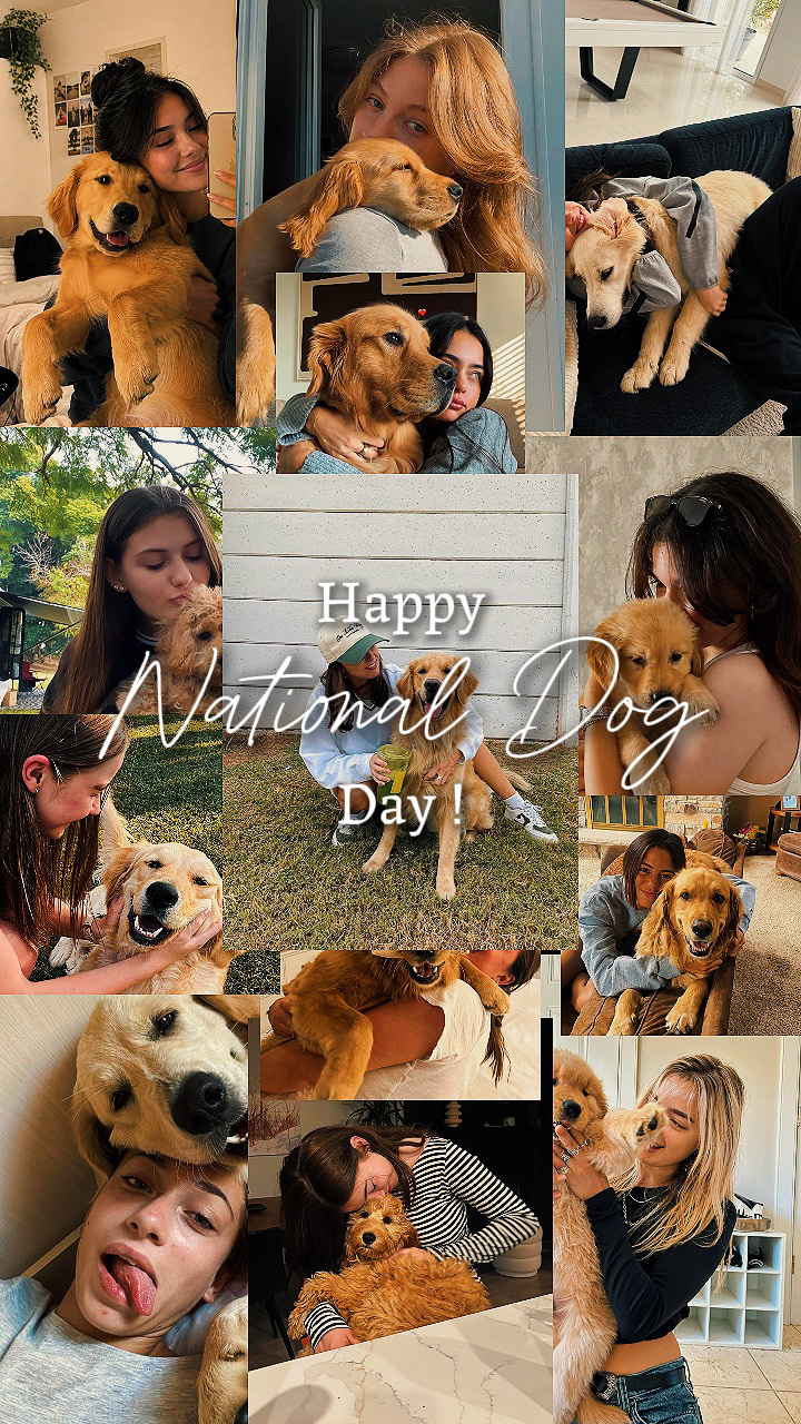 national dog day