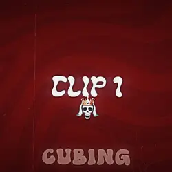 Skull Edit 1:1
