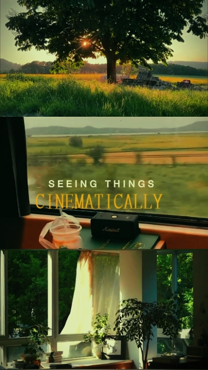 seeing things cinema