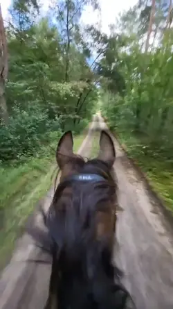 slowmo hack !!