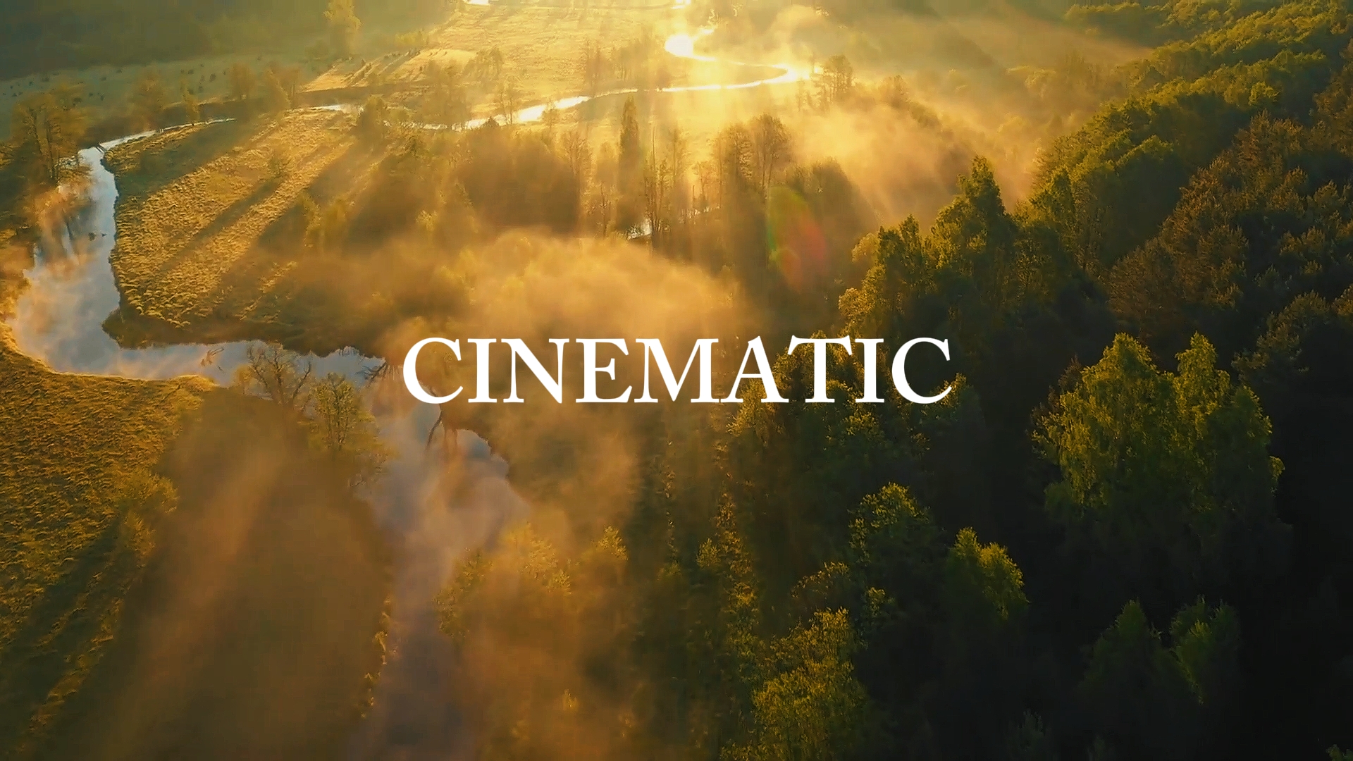 CINÉMATIQUE