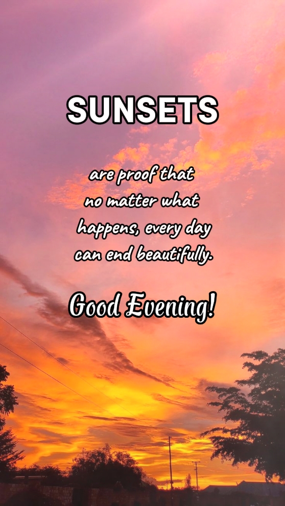 Boa noite 