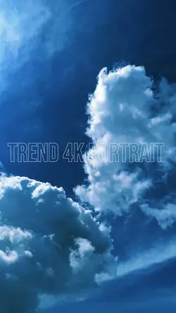 144px4k trend