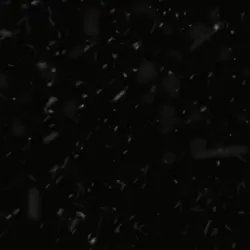 tik tok