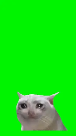 Crying Cat