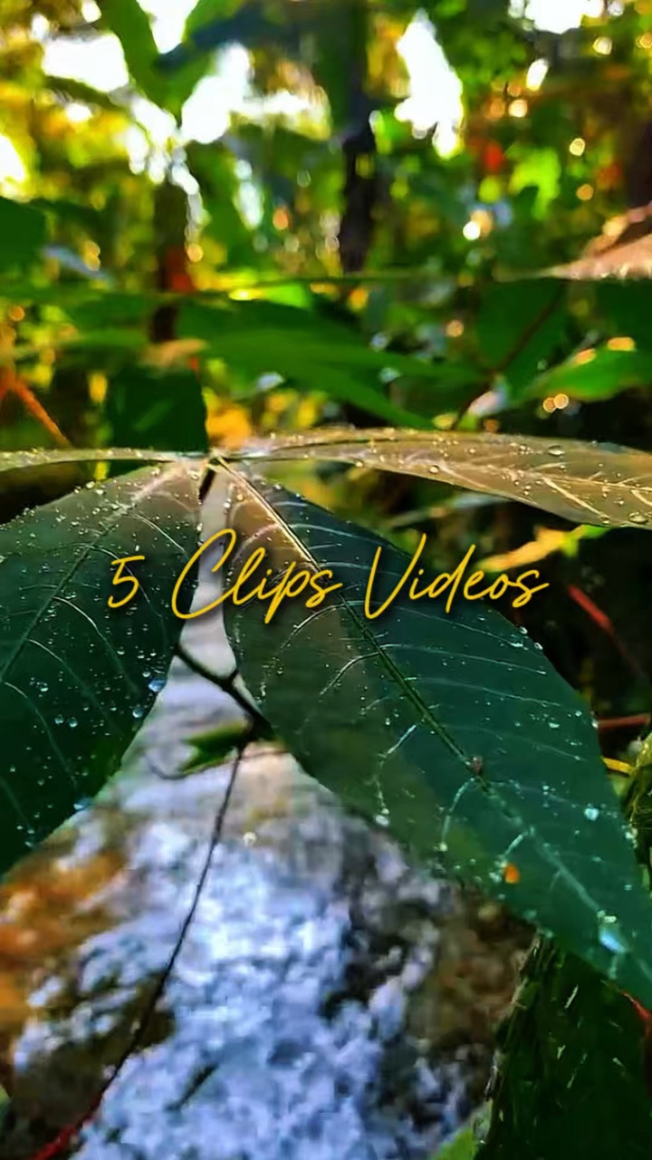 5 Clips Videos