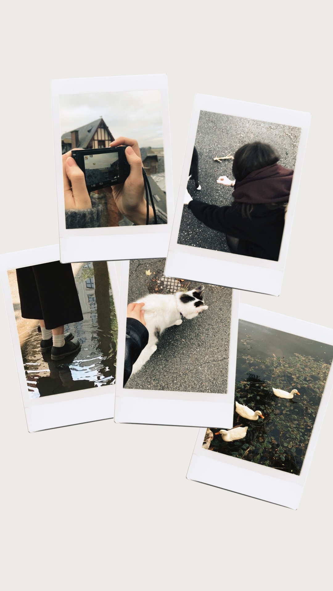 Polaroid ng frame 
