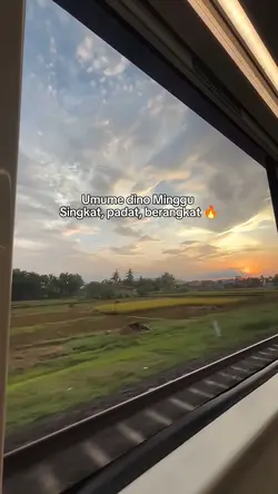 umume dino minggu