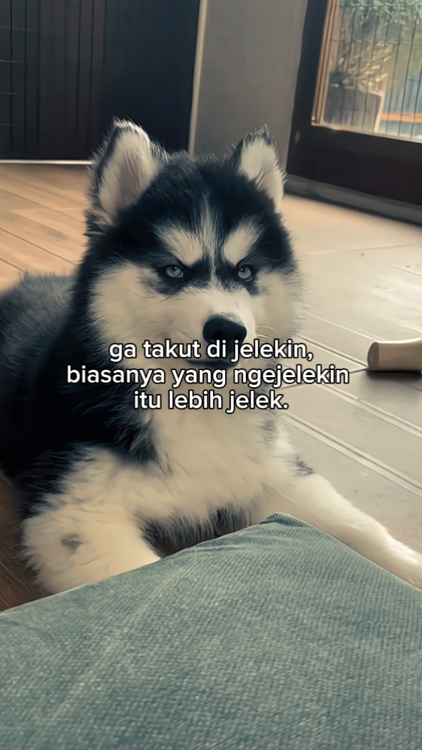 PHOTO LIVE TEXT 